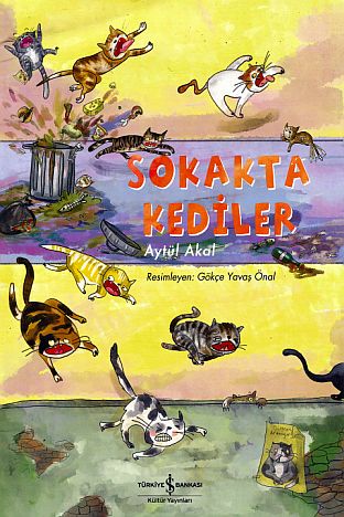 sokakta kediler e